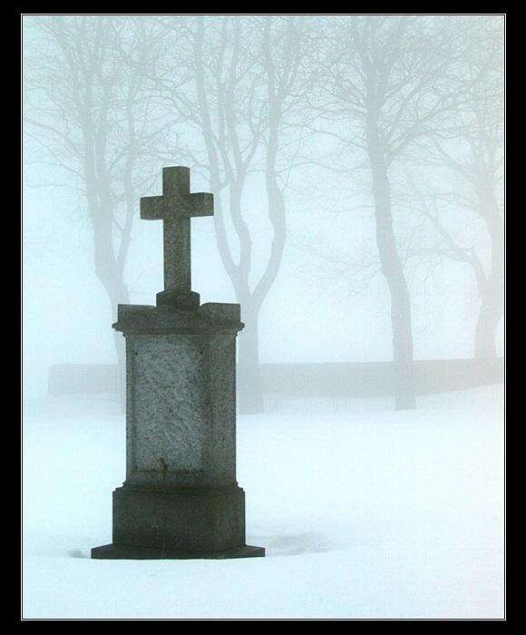 .:. memory .:.