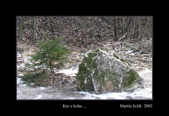 Kto z koho ...
