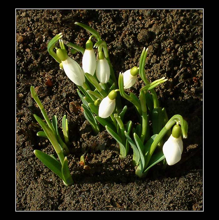 Už rostoooouuuu!!!!!