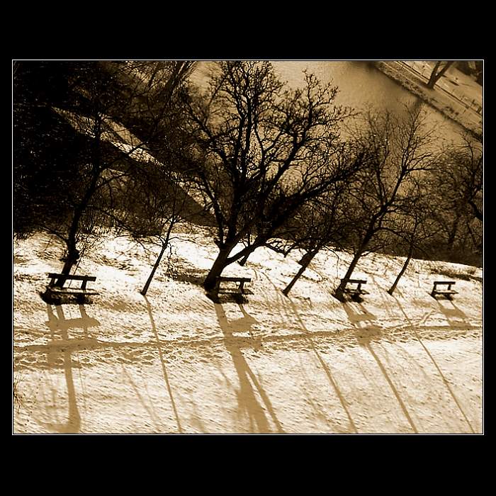 ..: still life :..