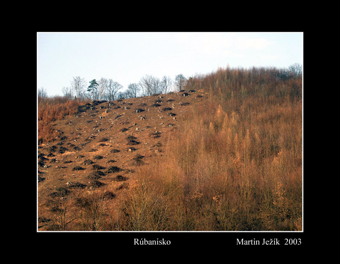 Rúbanisko