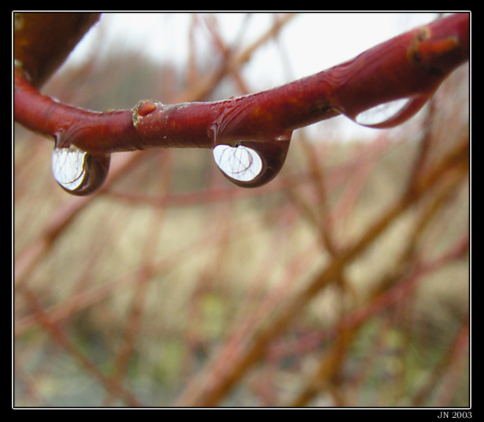 Svět v kapce 2 - Barvy jara