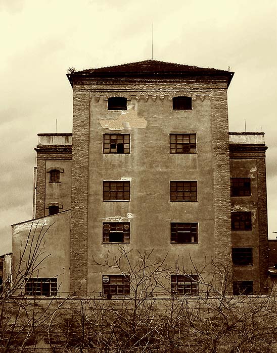 Věž