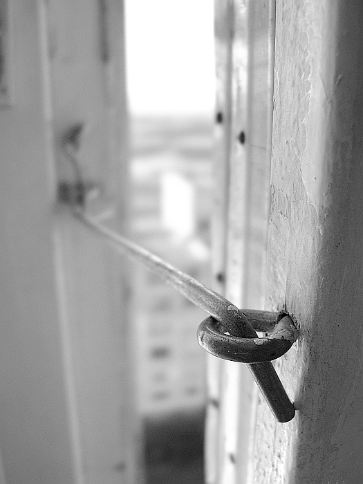 svoji