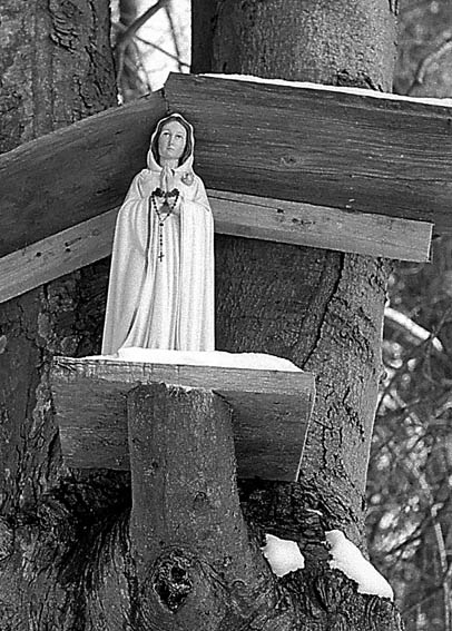 ...pohled k Východu...