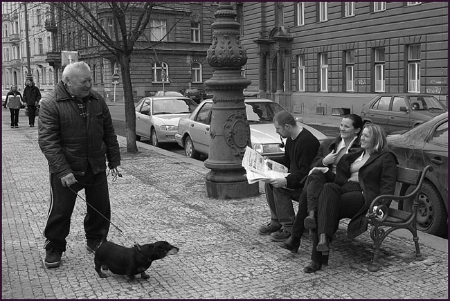 JEZEVĆÍKOVO SLIBNÉ ODPOLEDNE