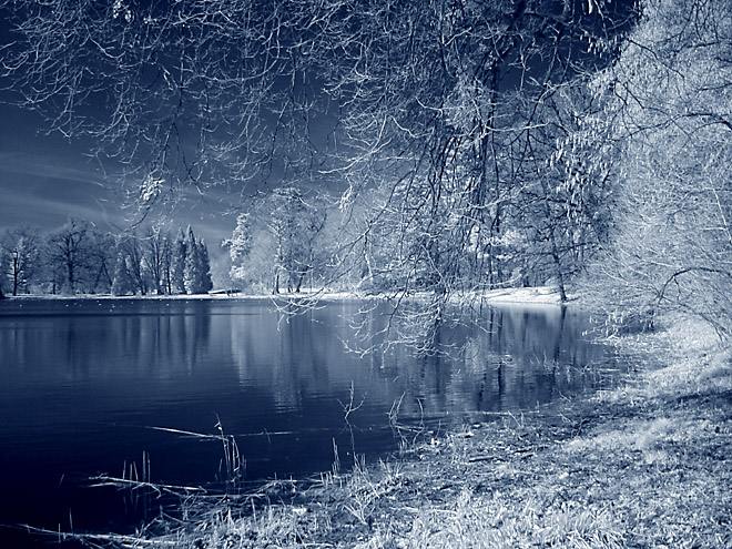 labutí jezero