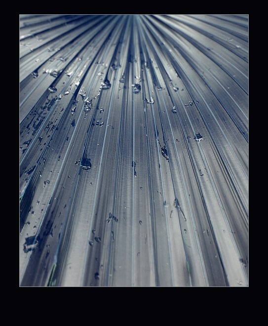 ::METALLIC::