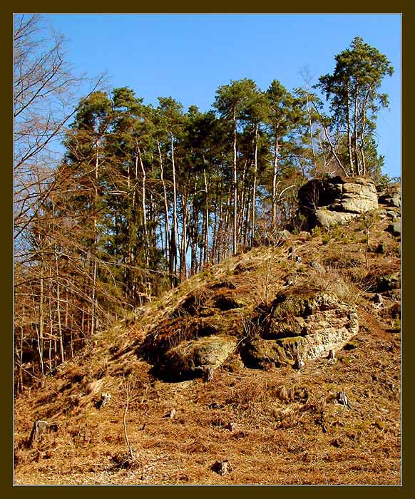 ...jarní odpoledne...