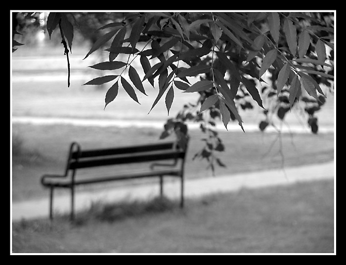 ...lavicka...