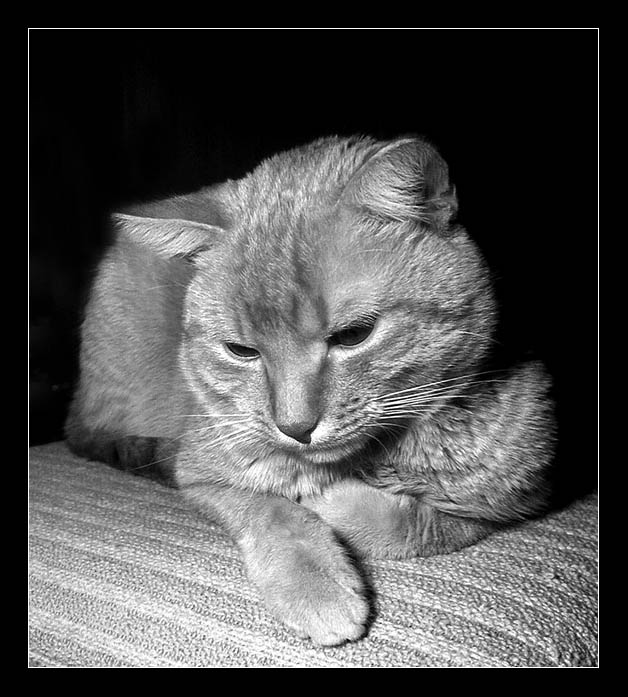 Oliver