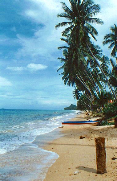 Pobřeží Koh Samui