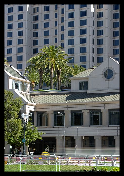 I na strese rostou palmy.... (San Jose)