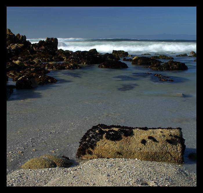 Pacific Grove (Monterey California)