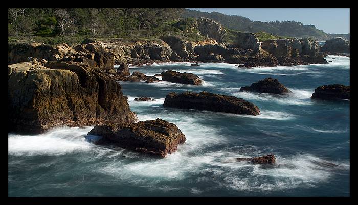 Point Lobos