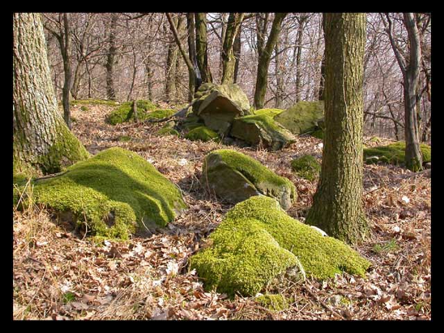 Mach nas skalach ...