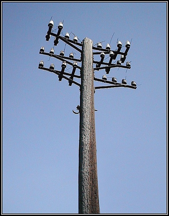 Vysloužilec