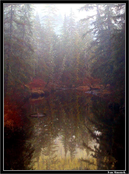 Salamander Creek, Aljaska
