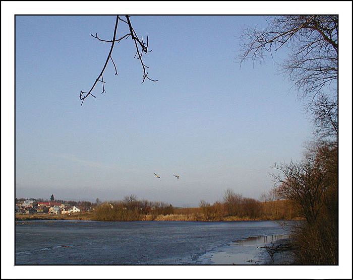 rybník