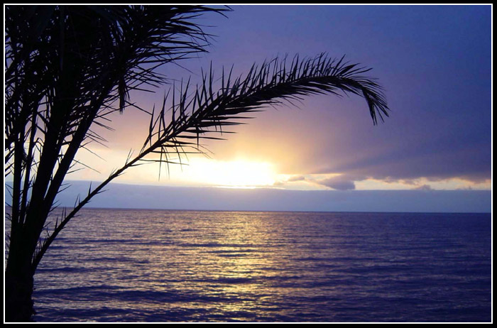 Pojďte se zahřát...