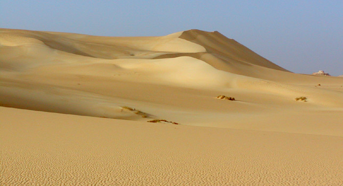 Dune