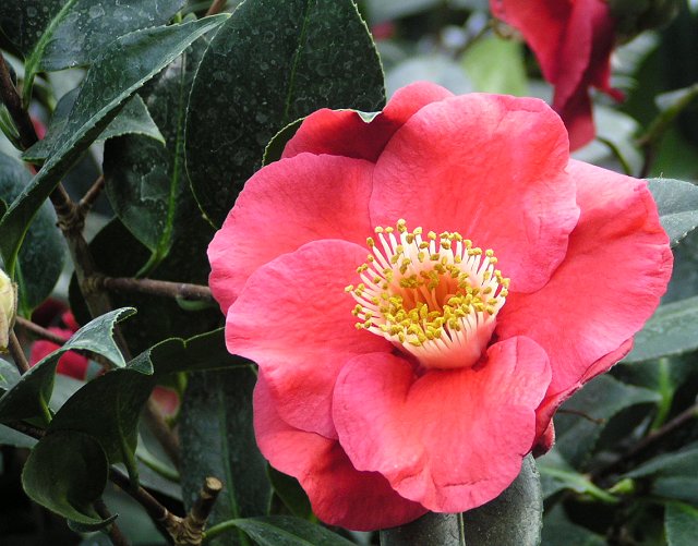 Botanická zahrada LB - 2