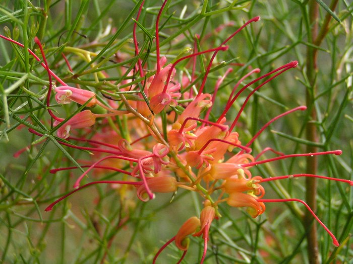 Botanická zahrada LB - 3