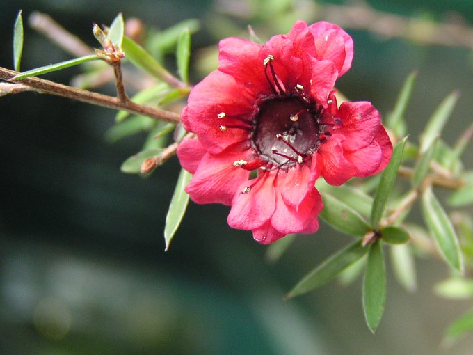 Botanická zahrada LB - 4
