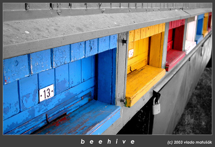 beehive