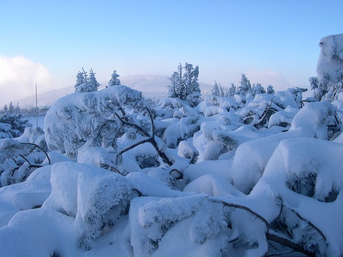 Silvestrovská vzpomínka