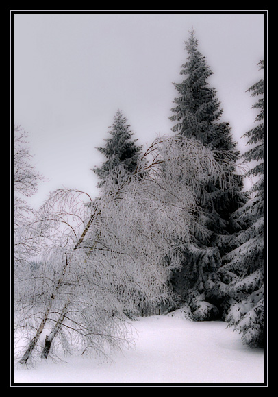 Šumava