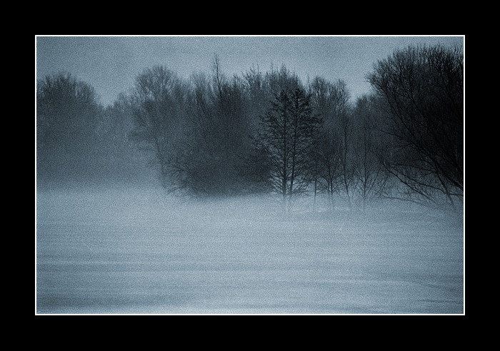 Mlhavý den ...