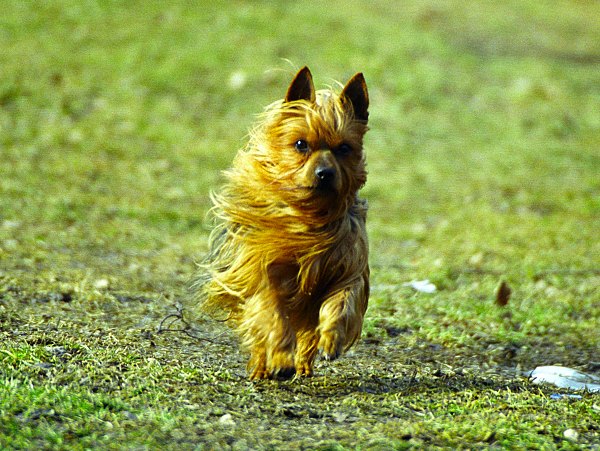 ... a pak me sežral ... :)