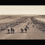 Státní silnice č. 330