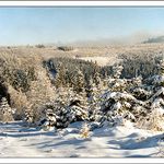 Zimní krajina IV