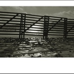 Vysočina v zimě II