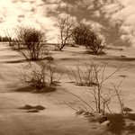 Na horizonte II.