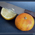 citron a pomeranc
