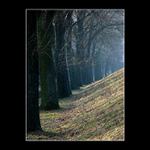 predvcerom v Piestanoch