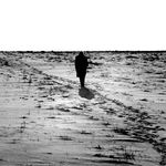 ...a člověk sám kráčí životem.