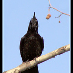 Jó, bez práce nejsou koláče...