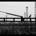 Olvejz vontit 2 B e rusnovodic