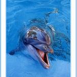 kdyz ma jeden vysmato...