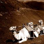 poradová príprava .....