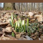 Taková normální rodinka