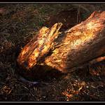 a jsme po večeři...