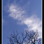 ...vo svetle mesiaca...