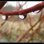 Svět v kapce 2 - Barvy jara