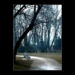 DUX, tato je dobra???