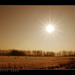 Proti slunci........